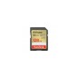 SanDisk Extreme PLUS SDXC 128GB 190MB/s